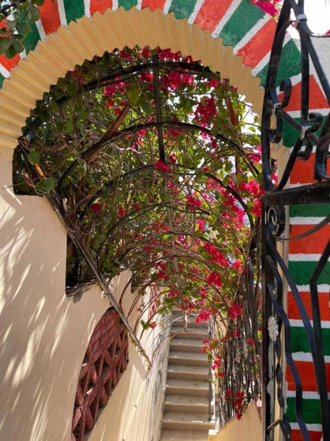 Nubian Dreams Guest House Ασουάν Εξωτερικό φωτογραφία