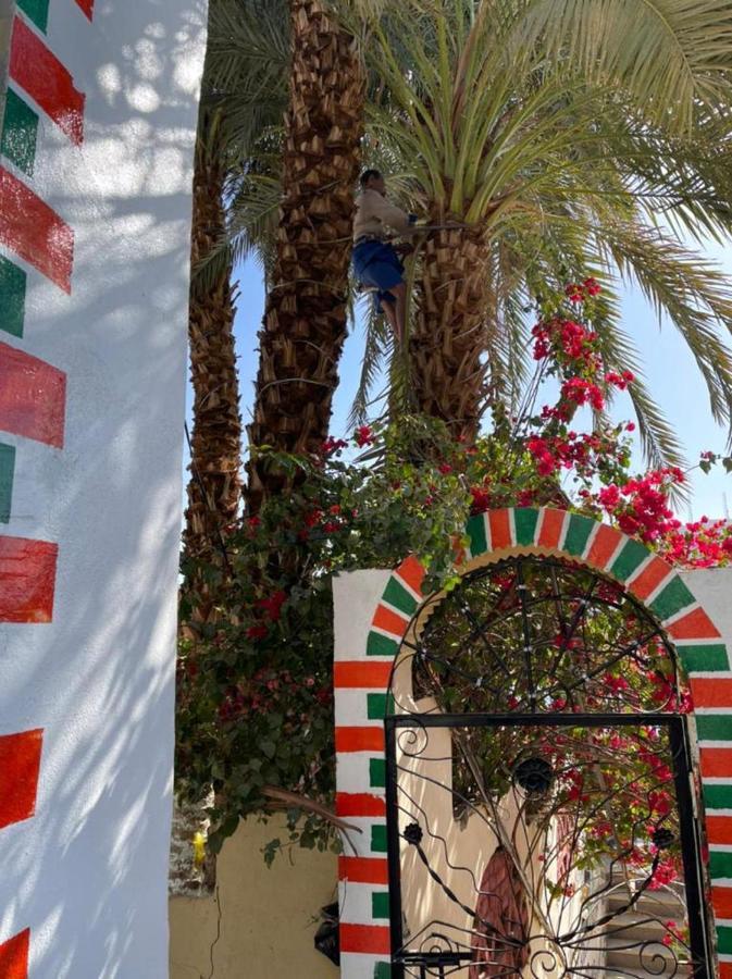 Nubian Dreams Guest House Ασουάν Εξωτερικό φωτογραφία